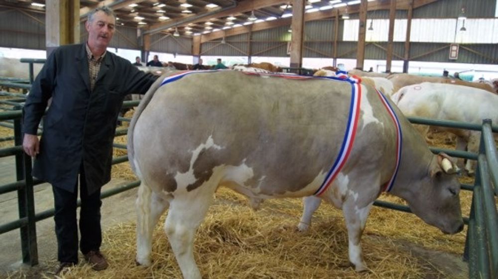 A Rouen - Un concentré de championnes A Rouen - Un concentré de championnes