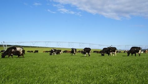 La Commission européenne vise un prix du lait de 353 €/t d’ici 2020