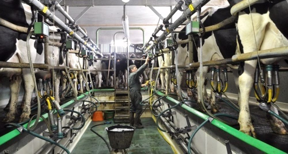 La France produirait 27,3 Mds de litres de lait en 2020 La France produirait 27,3 Mds de litres de lait en 2020