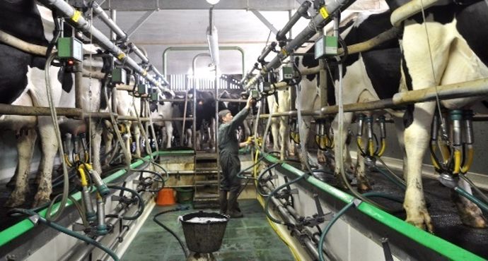 De grandes fermes de plus de 100 véces nécessiteront d'importants inevstissments et de main d'oeuvre qualifiée.