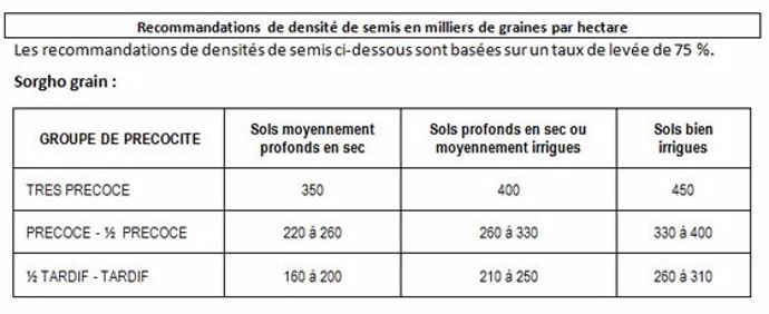 Densité de semis du sorgho.