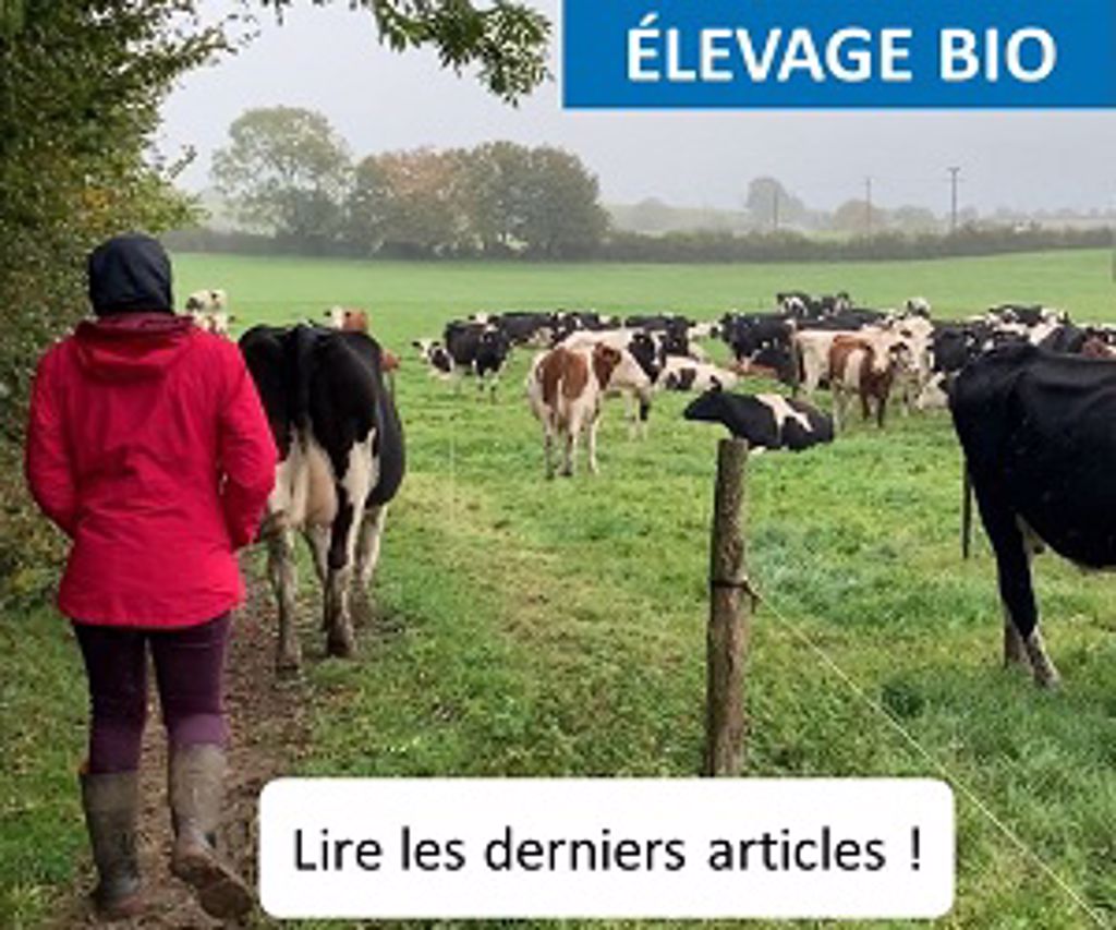 Élevage biologique