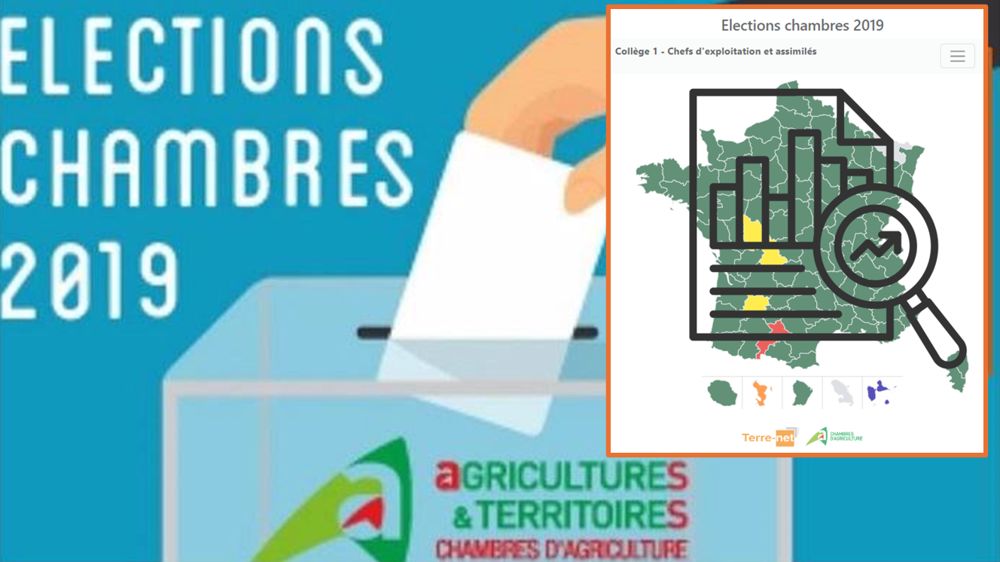 Quels enseignements tirer des résultats des élections chambres d'agriculture 2019 ?