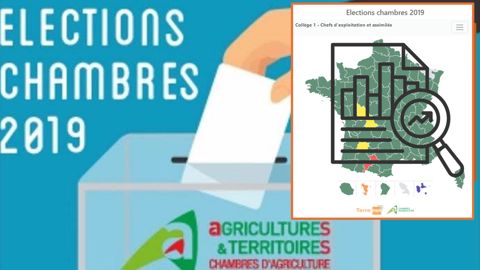 Quels enseignements tirer des résultats des élections chambres d'agriculture 2019 ?