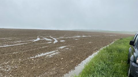 Des semis de printemps encore perturbés par la météo