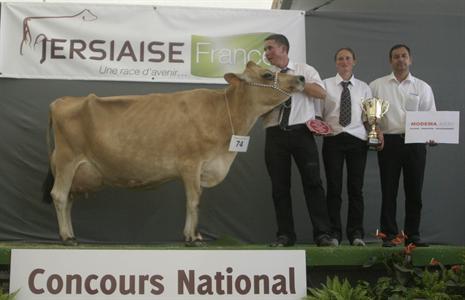 Vanille (Counciller) à l'Earl la Limoniere (49340 Vezins), grande championne du concours national jersiais 2009