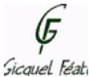 Un conseiller commercial pièces et un technicien après-vente