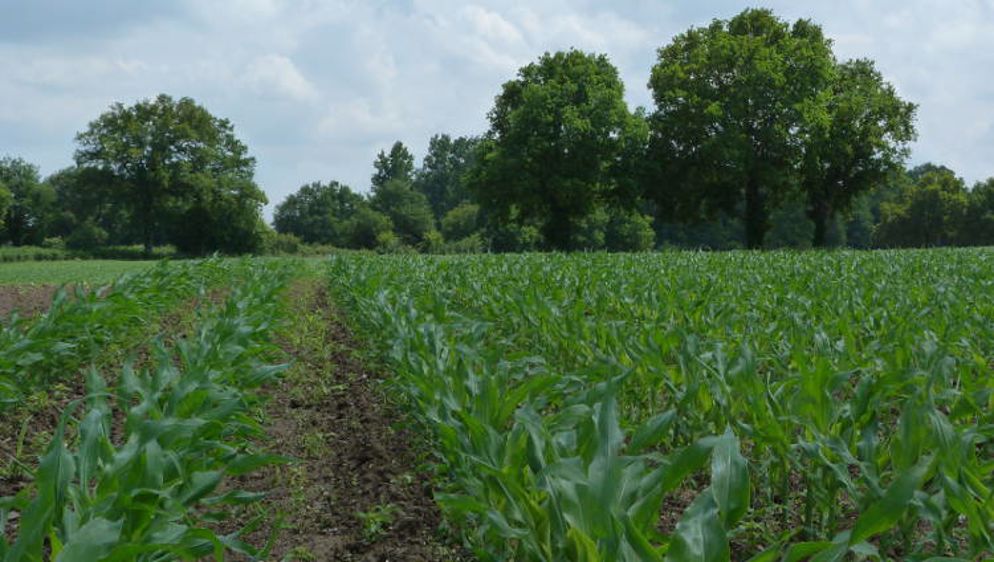  Des données trop disparates