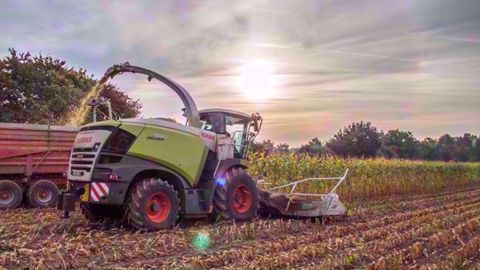 Vidéo ensilage : la nouvelle Jaguar de Claas sort du bois Vidéo ensilage : la nouvelle Jaguar de Claas sort du bois