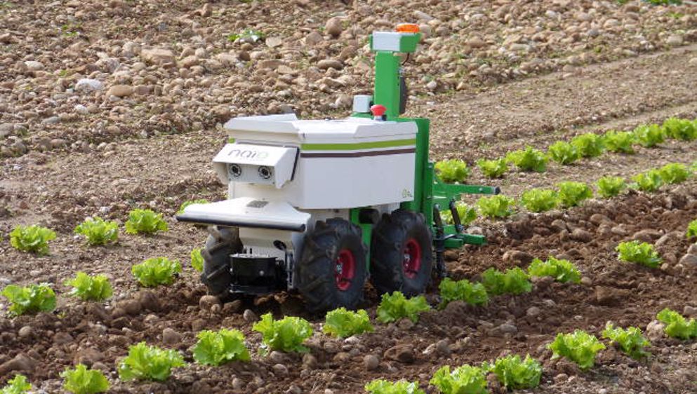 Trois millions pour Naïo Technologies 