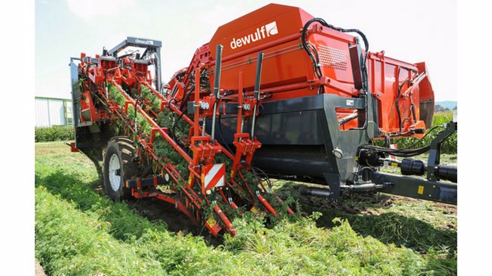 Des arracheuses de carottes Dewulf pour les terrains difficiles Des arracheuses de carottes Dewulf pour les terrains difficiles