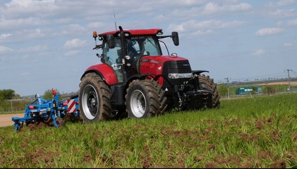 Carré sort les dents 