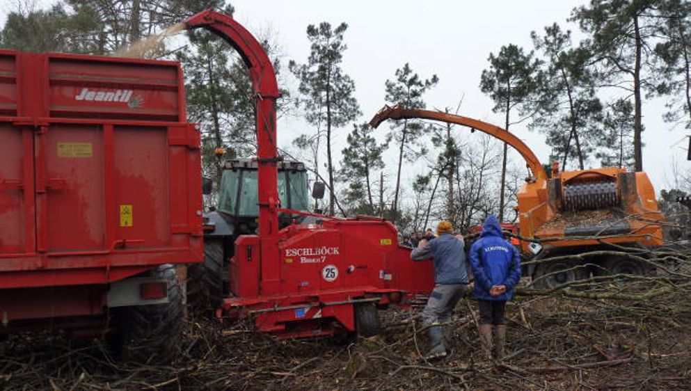 Les broyeurs de branches non conformes