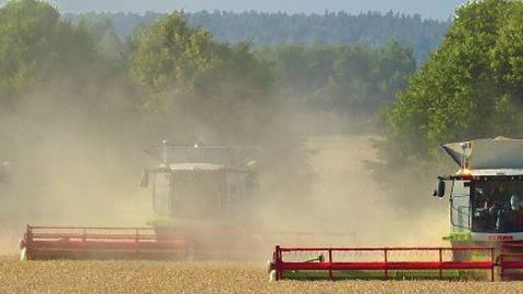 Claas : la récolte se perfectionne Claas : la récolte se perfectionne