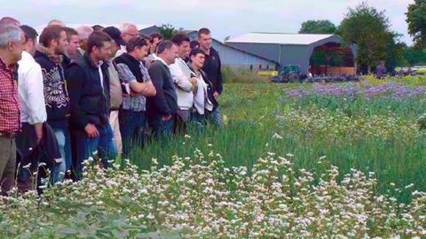 Sky Agriculture : réflexion sur le passage au semis direct Sky Agriculture : réflexion sur le passage au semis direct