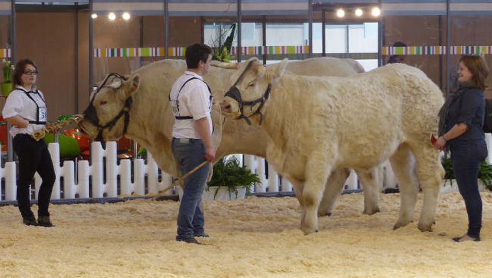 Le Sima met les animaux dans le hall 2 et Agco dans le 7