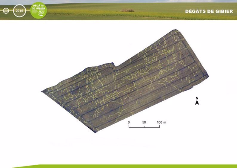 « Je scinde mes champs en micro-parcelles »