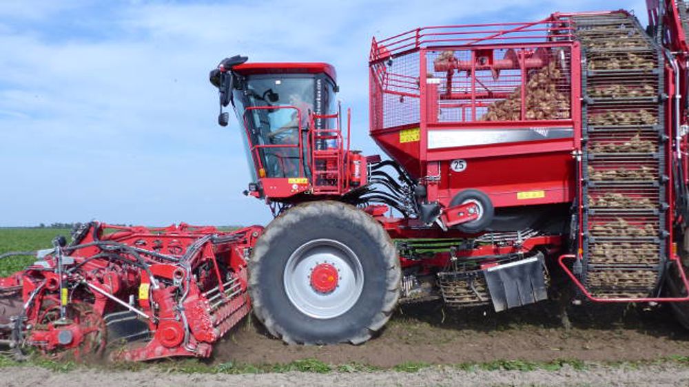 Exel s'arrache en betteraves Exel s'arrache en betteraves