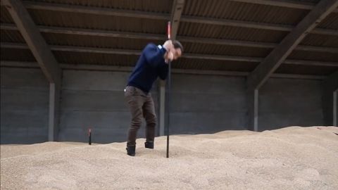 Javelot : le stock de récolte sous haute surveillance