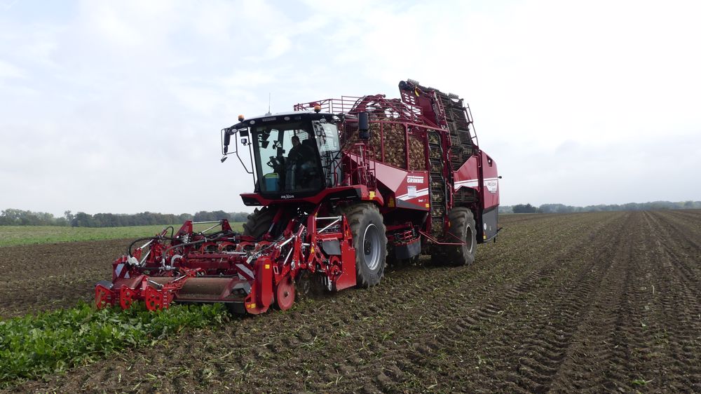 Vidéo : New Grimme Rexor 6200 Platinum