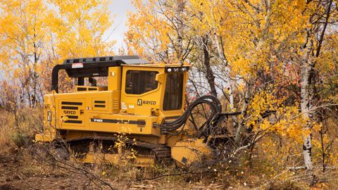 Alamo investit dans la forêt Alamo investit dans la forêt