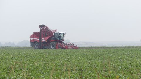 Grimme marque le pas Grimme marque le pas