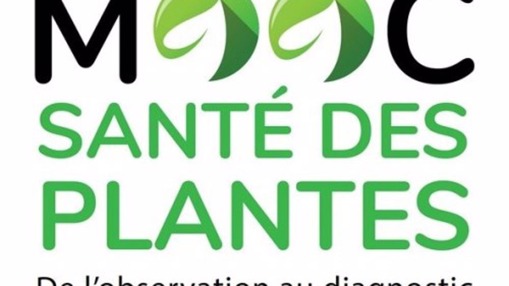 La SNHF se MOOC des phytos
