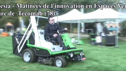 Un Buffalo Etesia dans le parc de Tecomah (78) Un Buffalo Etesia dans le parc de Tecomah (78)