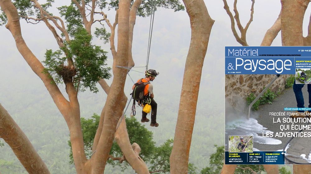 A découvrir dans nos magazines