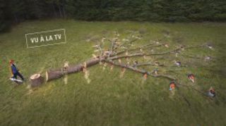 Stihl dope sa notoriété