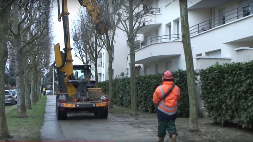  Société Parisienne d'Elagage : tailler ou conduire... faut-il choisir ?