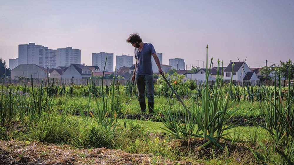 Capital Agricole : une expo pour penser les terres urbaines futures