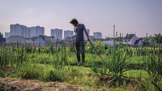 Capital Agricole : une expo pour penser les terres urbaines futures