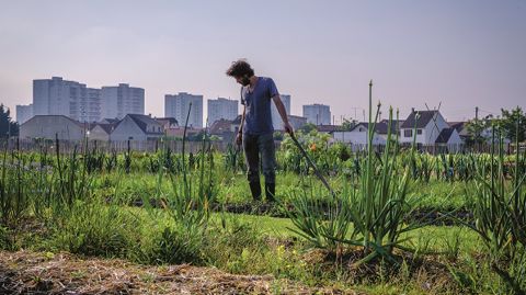 Capital Agricole : une expo pour penser les terres urbaines futures Capital Agricole : une expo pour penser les terres urbaines futures