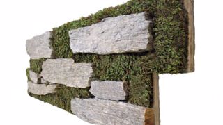 Cupastone : un mur vivant