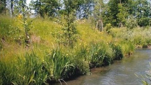 Aquaterra Solutions : un guide enrichi sur le génie végétal Aquaterra Solutions : un guide enrichi sur le génie végétal