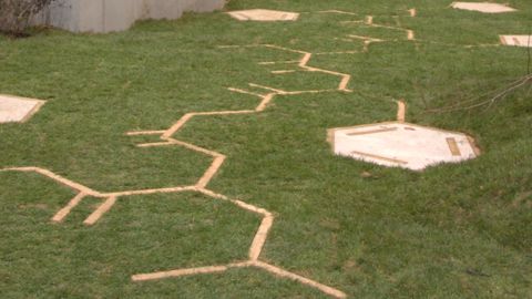 Carré des Jardiniers (Paysalia) : le concours en images Carré des Jardiniers (Paysalia) : le concours en images