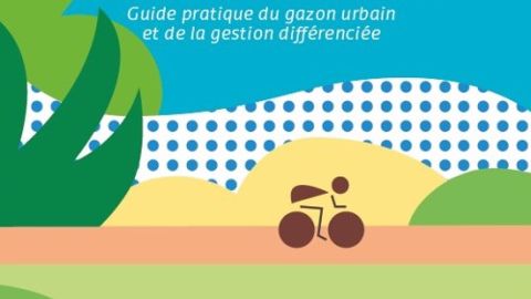 Gnis : un guide du gazon urbain Gnis : un guide du gazon urbain