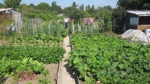 Concours National des Jardins Potagers : inscription jusqu'au 30 juin ! Concours National des Jardins Potagers : inscription jusqu'au 30 juin !