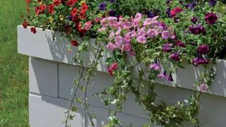 Optigarden : le couvre-mur qui sait se faire oublier