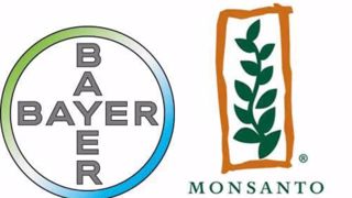 Naissance d'un nouveau géant : Bayer-Monsanto