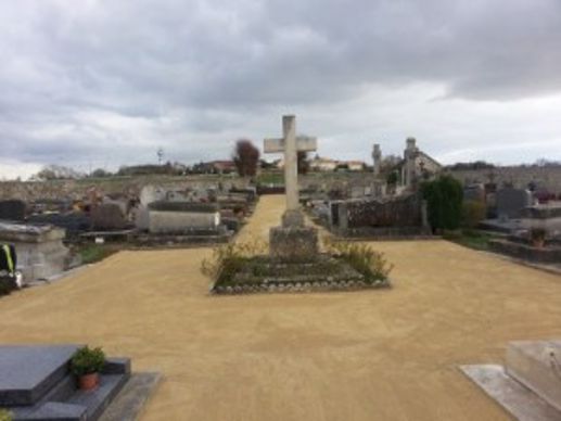 plantecite2-cimetieres-NL-BD-MP-mai2016