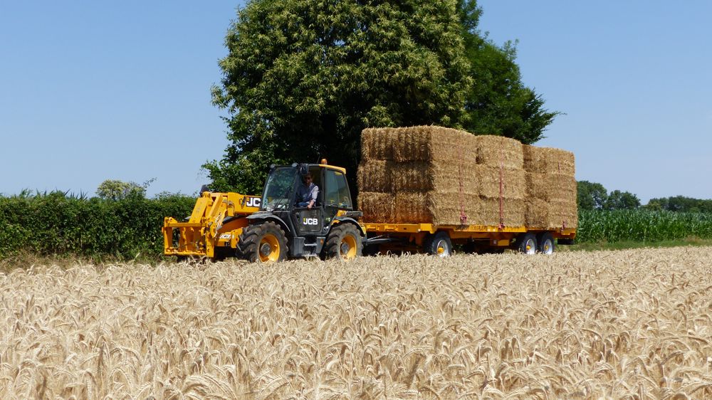 JCB 531-70 Agri : La manutention en toute occasion JCB 531-70 Agri : La manutention en toute occasion