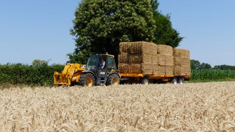 JCB 531-70 Agri : La manutention en toute occasion JCB 531-70 Agri : La manutention en toute occasion