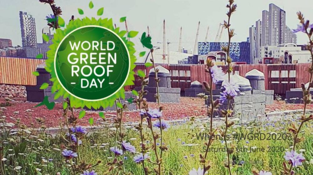 Une journée mondiale de la toiture végétalisée