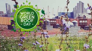 Une journée mondiale de la toiture végétalisée
