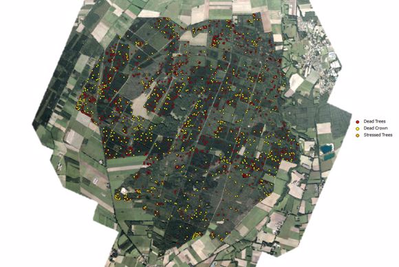 L'algorithme distingue par des points de couleurs les arbres morts, les couronnes deséchées et les arbres eb stress hydrique