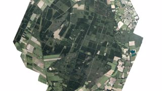 Skylab : des arbres sous surveillance