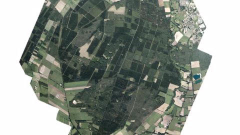 Skylab : des arbres sous surveillance Skylab : des arbres sous surveillance