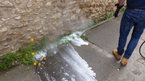 Le procédé Foamstream de Weedingtech Le procédé Foamstream de Weedingtech